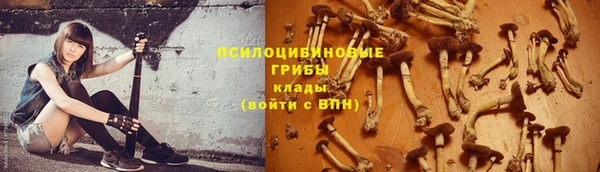 2c-b Абдулино